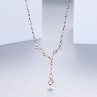 vakkv  Jinyili S925 Silver Twelve Constellation Zircon Necklace Simple All-Match Special-Interest Design Tassel Pentagram Clavicle Chain