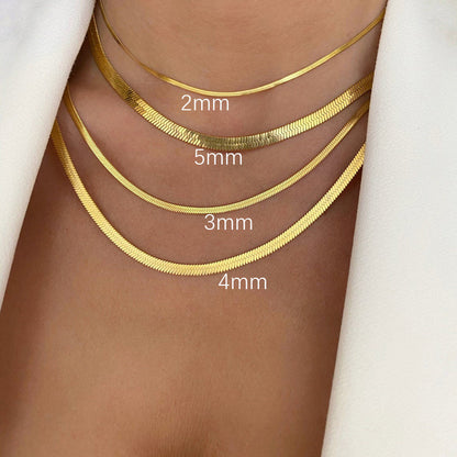 vakkv  HOTan and NEWn Personalized Hot Girl All-Match Titanium Steel Double Layer Twin Necklace Female Ins Choker Snake Bones Chain Blade Chain Clavicle Chain