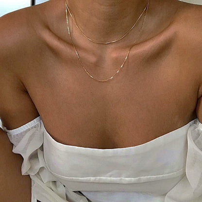 vakkv  HOTan and NEWn Ins Style Clavicle Chain Soft Snake Bone Chain Double Layer Necklace Twin Simple Niche Design Necklace